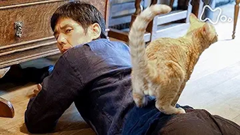 Still image for Blanket Cats season 1 episode 6: Episode 6 Still image for Blanket Cats season 1 episode 6: Episode 6