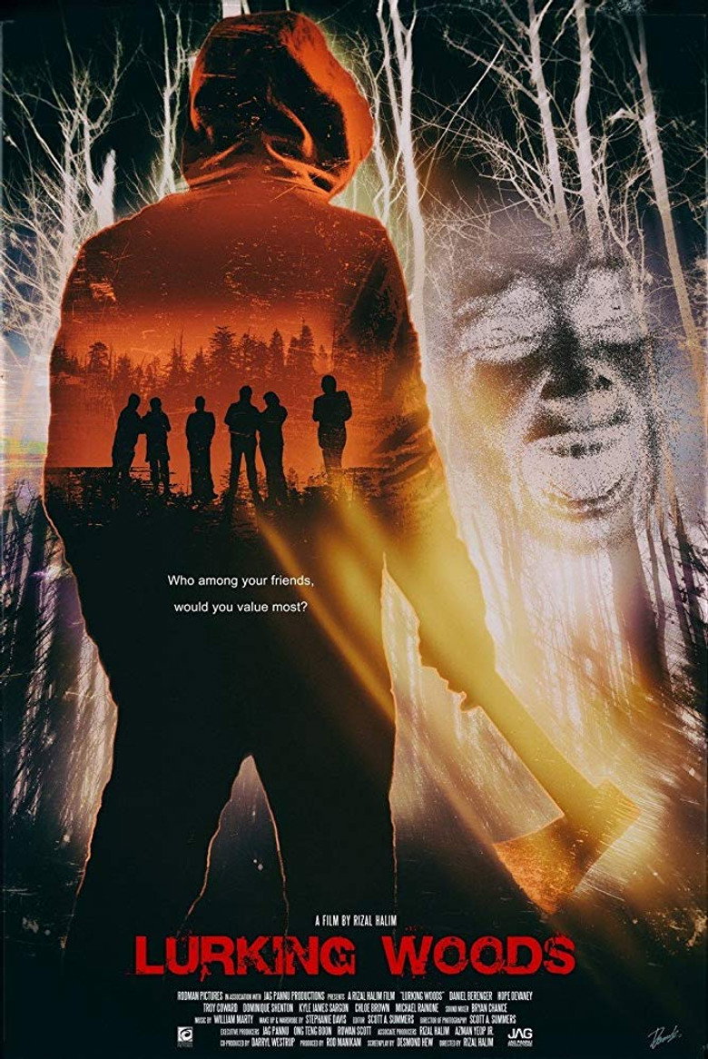 Imatge de Lurking Woods