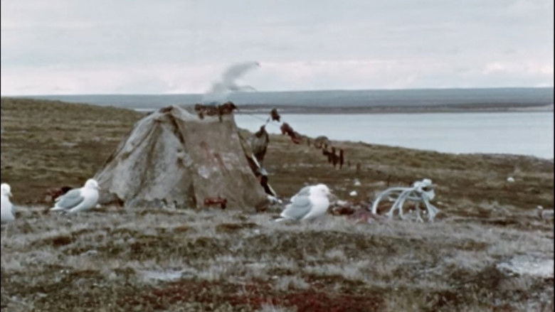 Gallery image from mL5CWbjoBgzrmqKiVfwFYMTEFPR.jpg