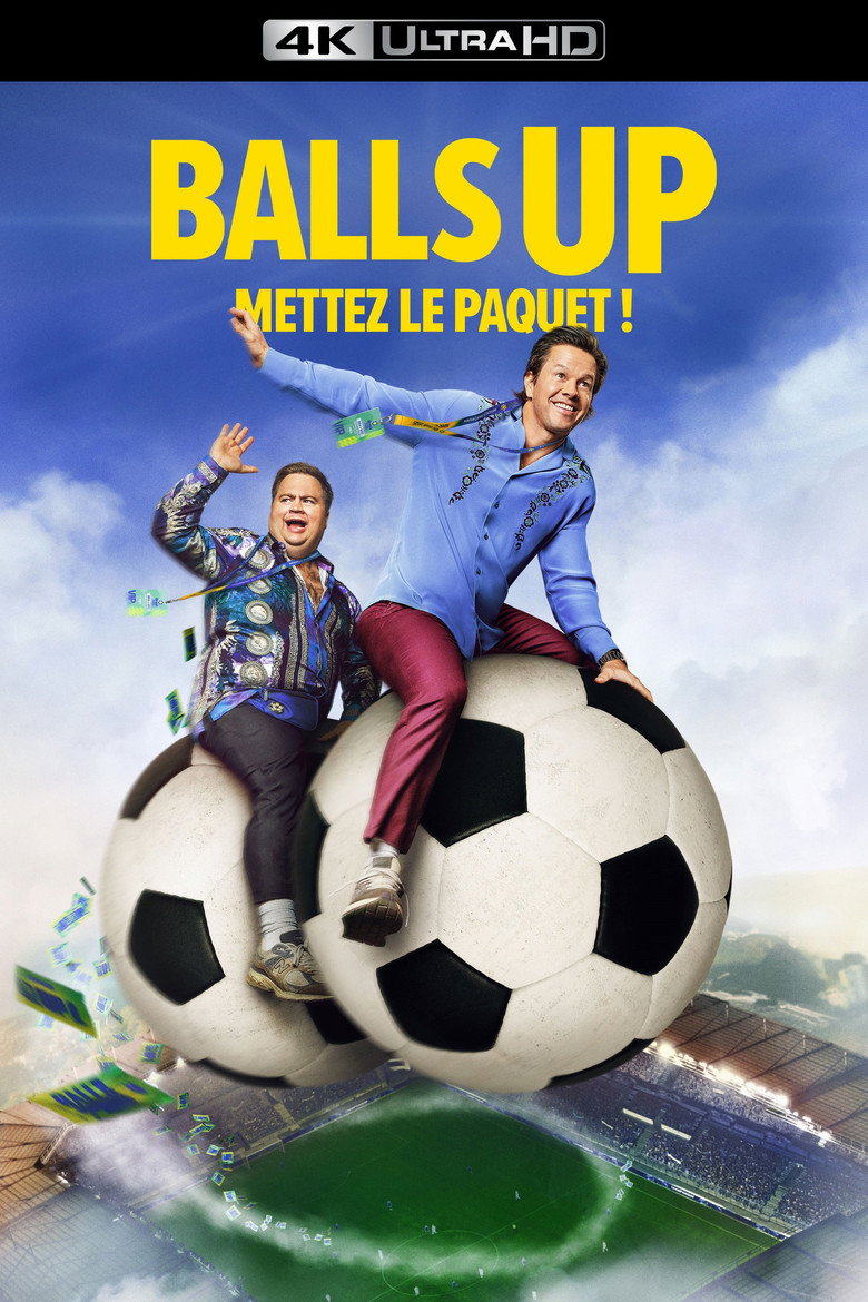 Póster la Película