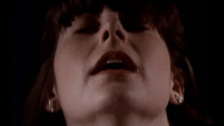 Cover Story backdrop 3