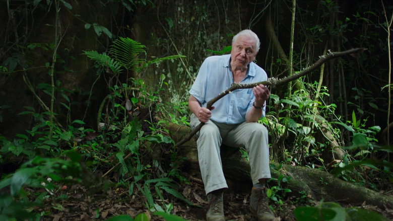 Still from The Green Planet - Season 1 Episode 1