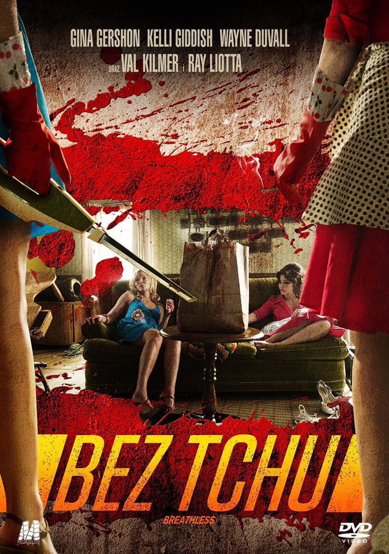 Plakat filmu Bez Tchu