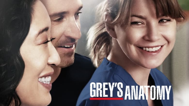 Grey's Anatomy Season 12 Episode 24 : Family Affair