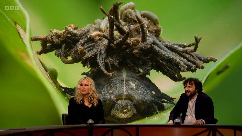 Still from QI - Season 23 Episode 3