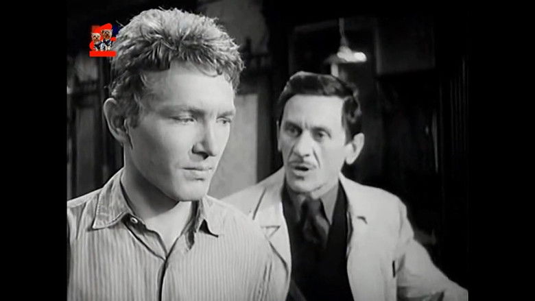 Image d'arrière-plan 1 du film Námestie svätej Alžbety