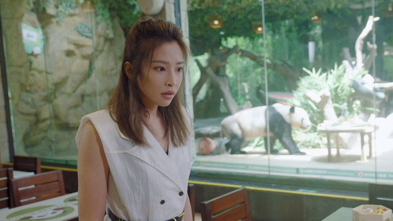 Still image for 大熊猫的生日愿望 season 1 episode 1: Episode 1