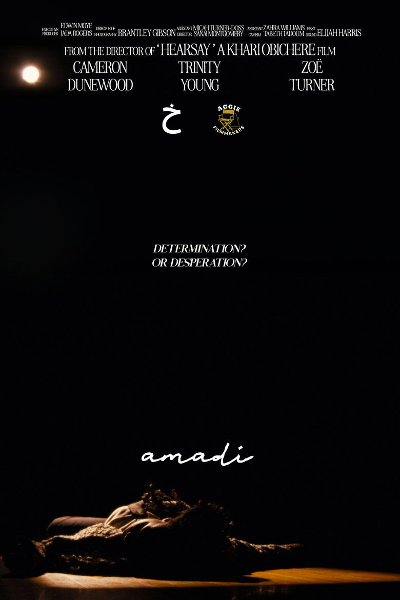 Imatge de AMADI