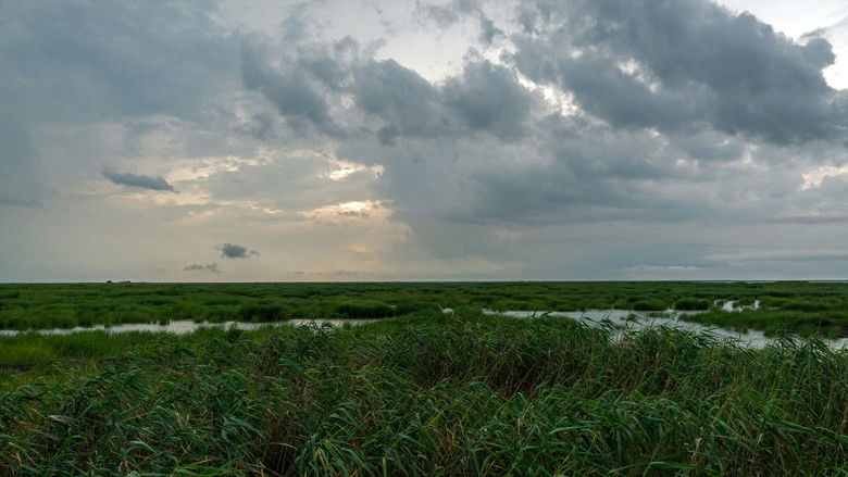 Gallery image from mOmq6DoEGE9GtK5QpWy4loODEVi.jpg