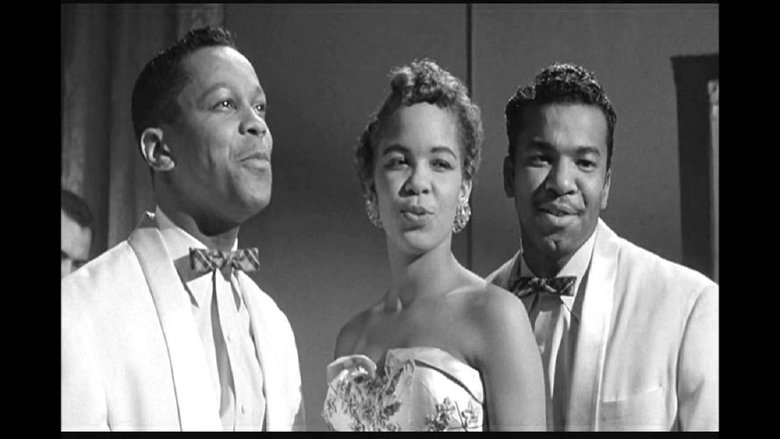 The Platters & The Coasters movie poster