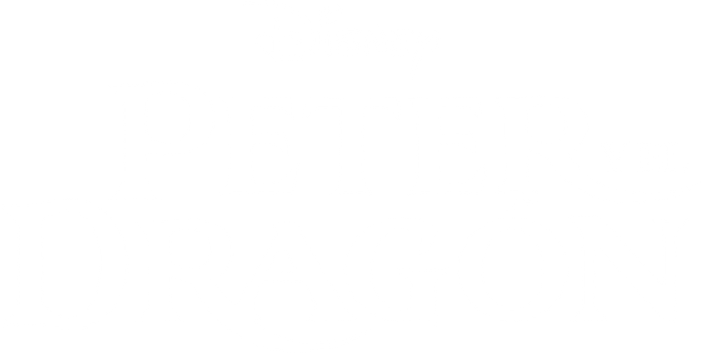 Imagen de Mi amigo el dragón
