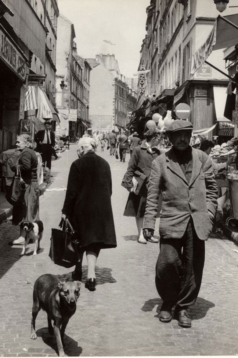 Imatge de Léon la lune