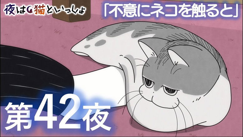 Still image for Nights with a Cat season 1 episode 42: Night 42: If You Touch a Cat Unexpectedly