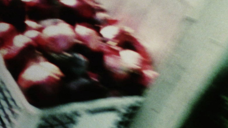 Gallery image from mRQLExwsqL1U3nDfVHbqLrbKF9z.jpg