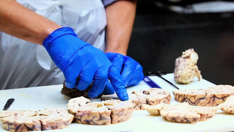 Gallery image from mRRi8mu4nflyYTW2GzzutWftifU.jpg