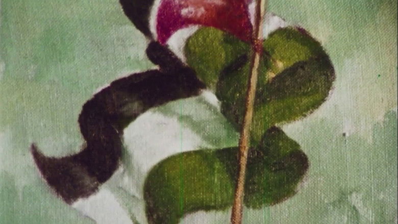 Gallery image from mRRkgIGbbWNm5Byx5h6Z15FtA4c.jpg