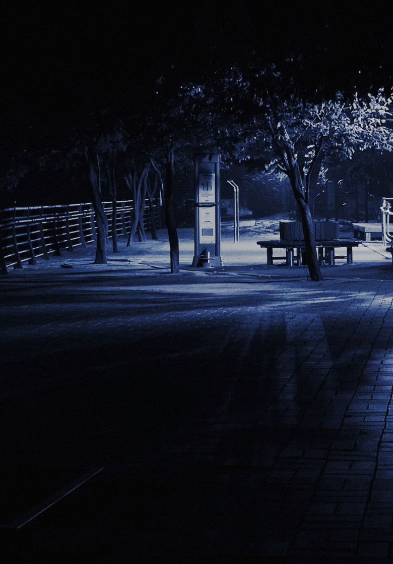 Imatge de 밤 산책