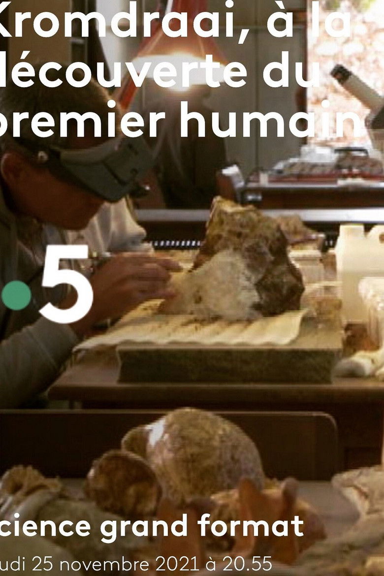 Imatge de Kromdraai, à la découverte du premier humain