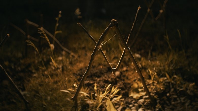 Shelby Oaks (2025)