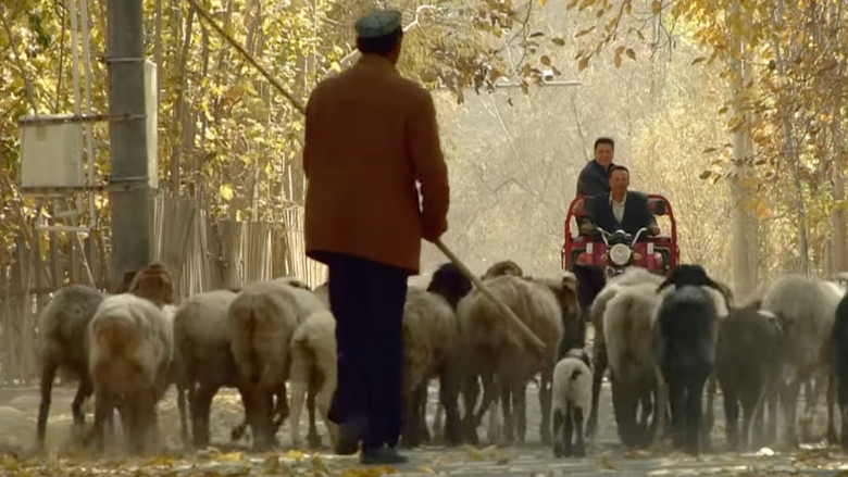 Медиа изображение