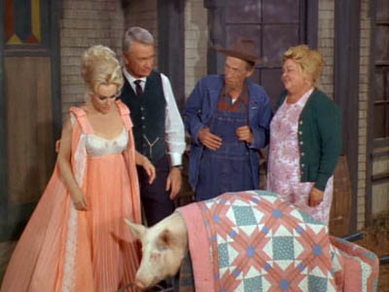 Still image for Green Acres season 1 episode 28: Send a Boy to College Still image for Green Acres season 1 episode 28: Send a Boy to College