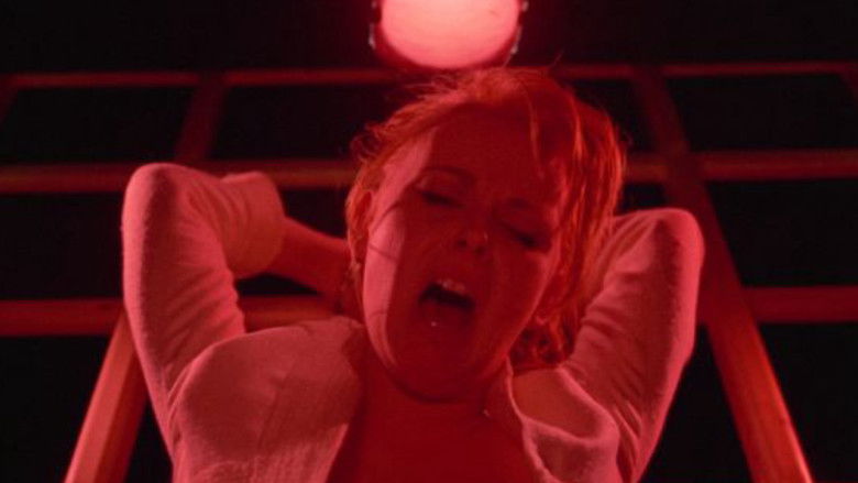 Gallery image from mSqyKlYxTPcBldZ2GsfPw2laazr.jpg