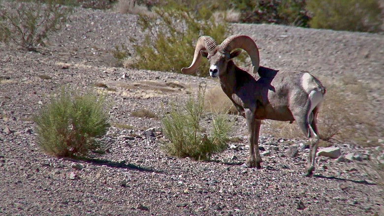 Still image for Lone Star Law season 1 episode 9: Caught on Camera