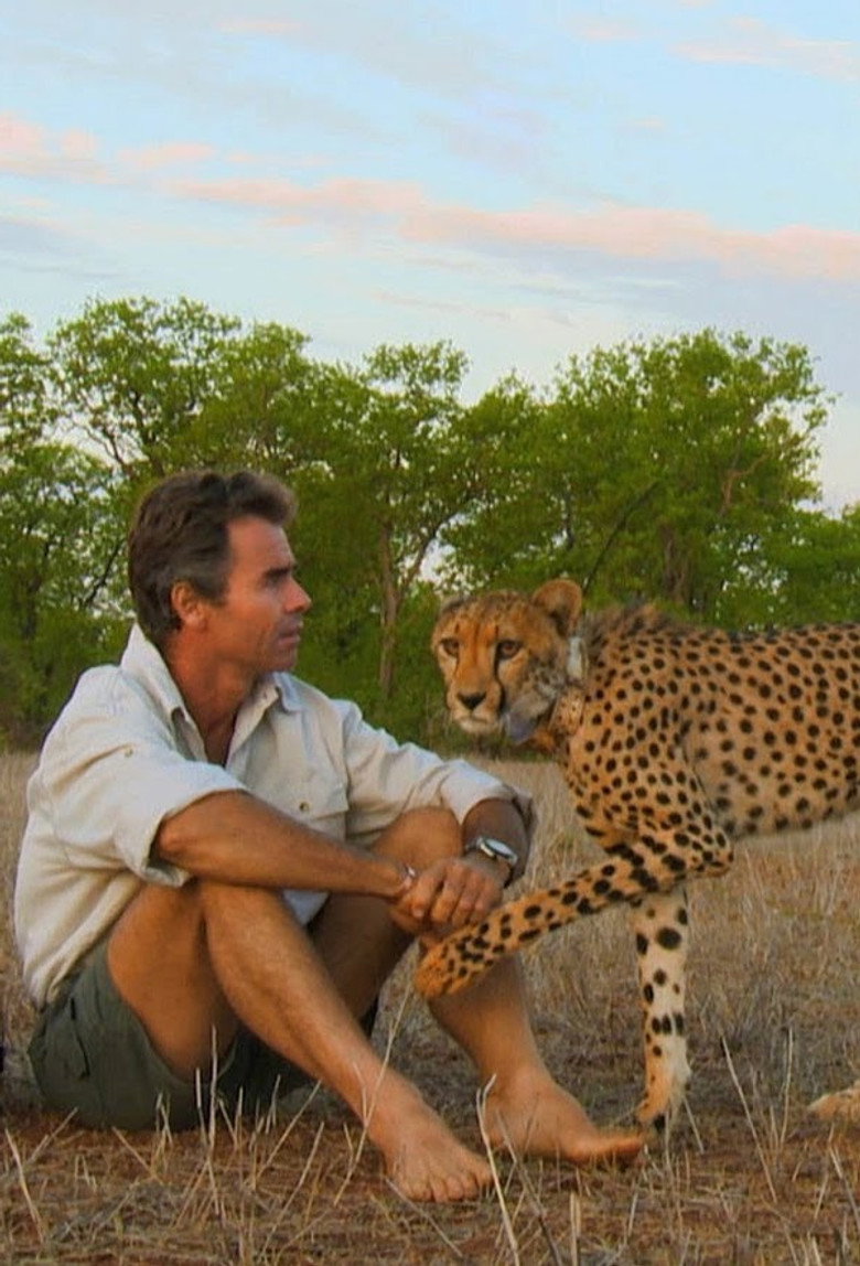 Man, Cheetah