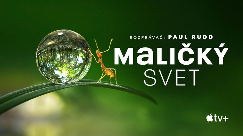 Gallery image from mUdYmpp4t46q8NfGqdveYMvIgBy.jpg