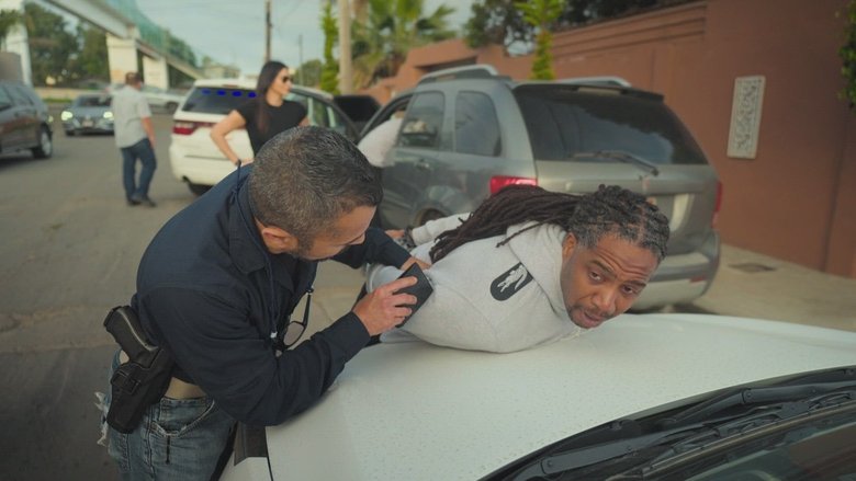 Hiding in Plain Sight