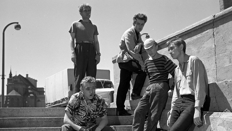 Gallery image from mVGXNktl1xCxpijROMjHrcqfMo7.jpg