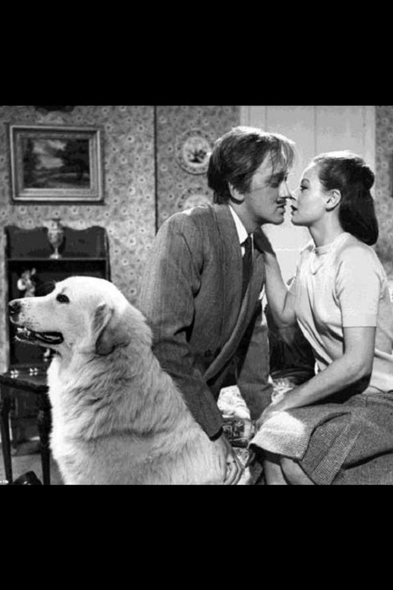 Imatge de The Six-Sided Triangle