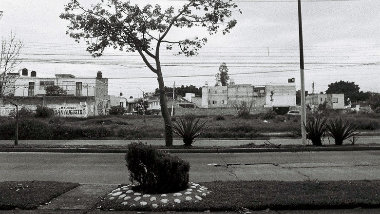 Gallery image from mX9P9QdV5rcMi09wCiuOAsjWEqq.jpg