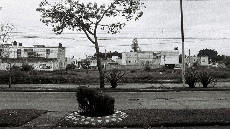 Gallery image from mXCTwRX4s7nlt6Jc60sy1cjbPYe.jpg