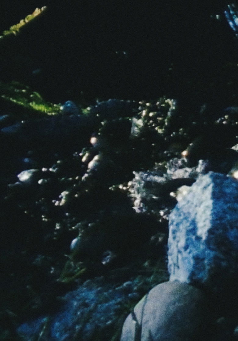 Imatge de Crepescule Pond and Chair