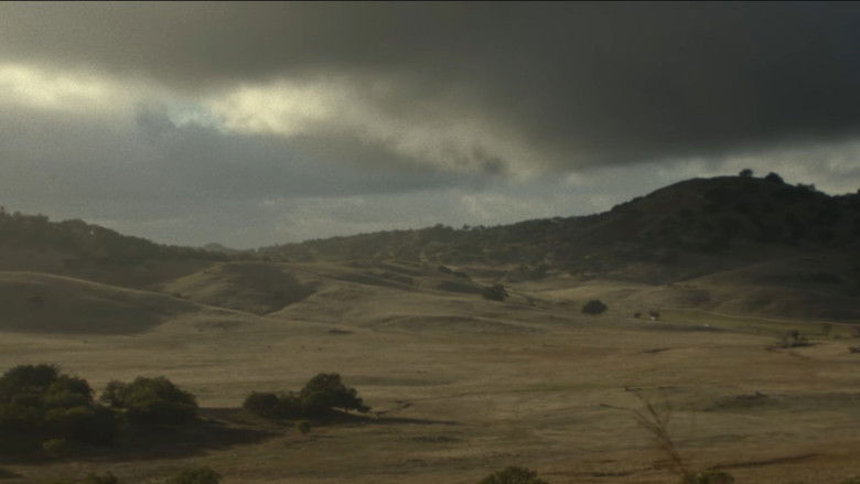 Gallery image from mXiZ3mPziukrtT0wdtyoSznPnAy.jpg