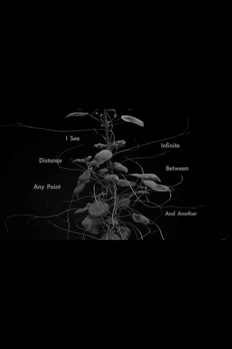 Imatge de I See Infinite Distance Between Any Point and Another