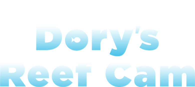 Dory's Reef Cam