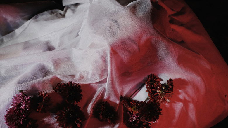 Gallery image from mYLh1eBIT8LcgBoLzTgYSf16ozt.jpg