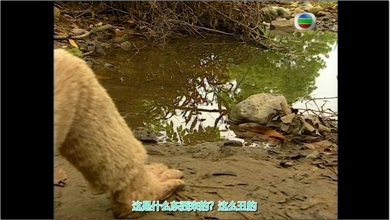 Still image for Journey to the West season 1 episode 1: The Stone Monkey Breaks Free from the Rock Still image for Journey to the West season 1 episode 1: The Stone Monkey Breaks Free from the Rock