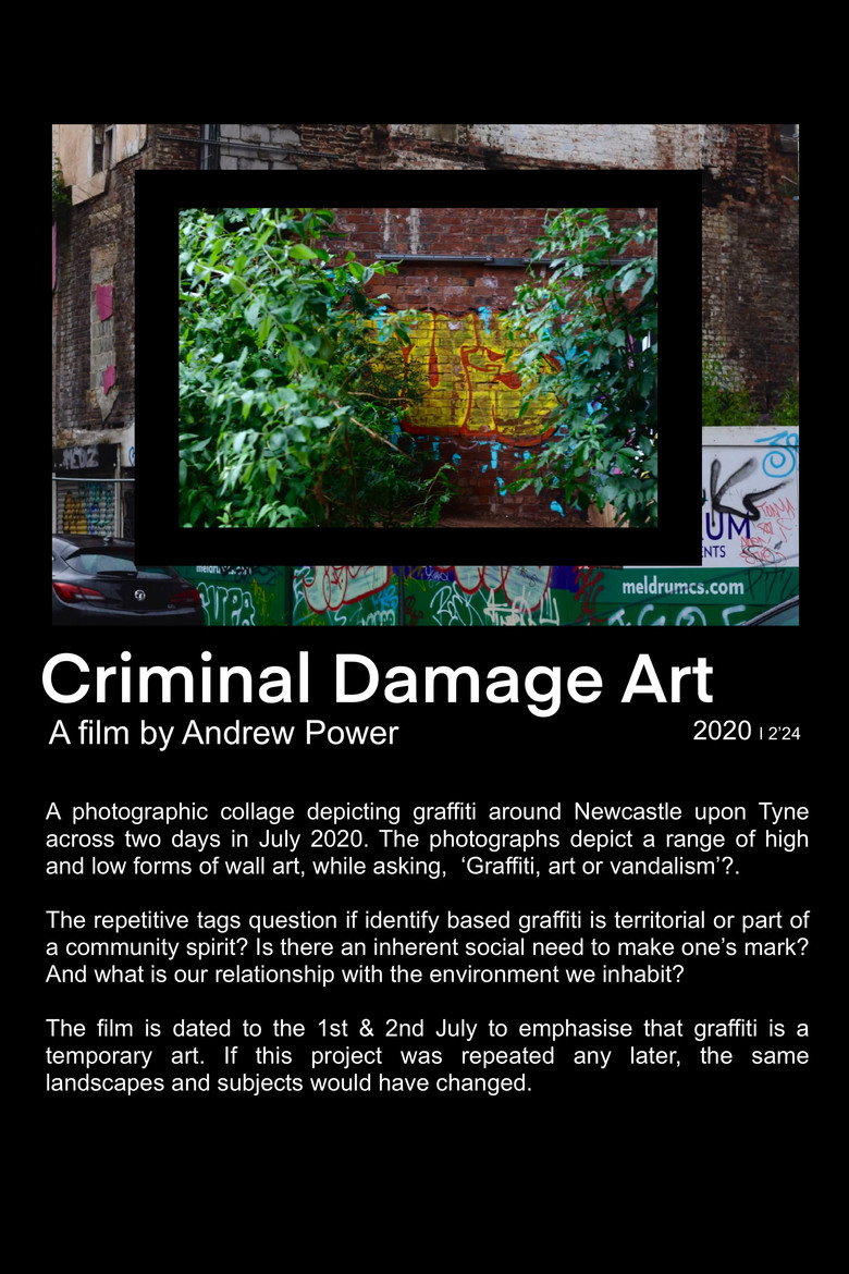 Imatge de Criminal Damage Art