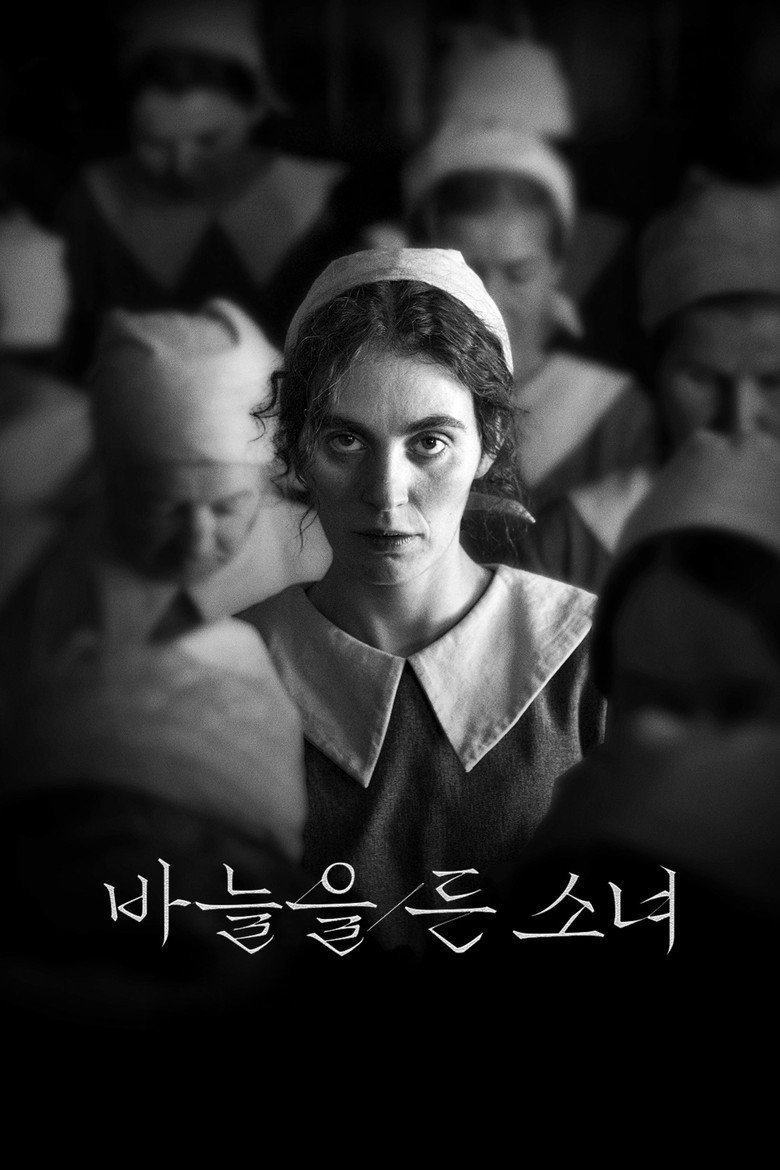 바늘을 든 소녀(Pigen med nålen) poster