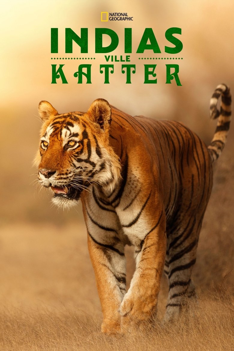 Wild Cats of India