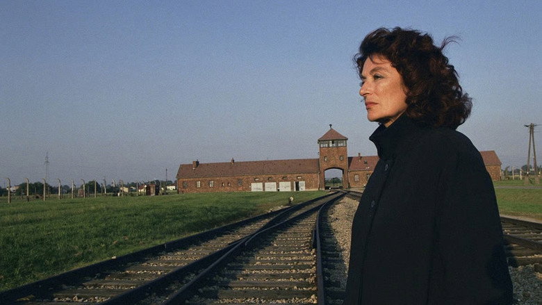 Imatge de La petite prairie aux bouleaux