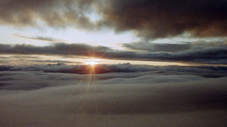 Brewster McCloud (1970)