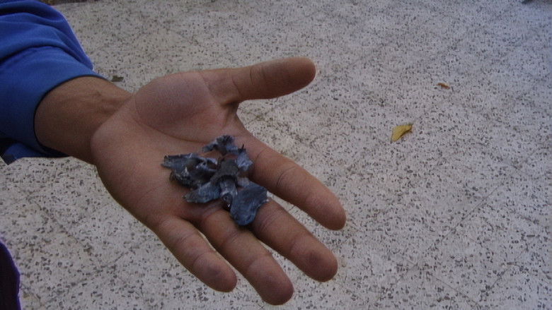 Gallery image from mZST2UWdIyu8vVF2UozwMo6fi7Y.jpg