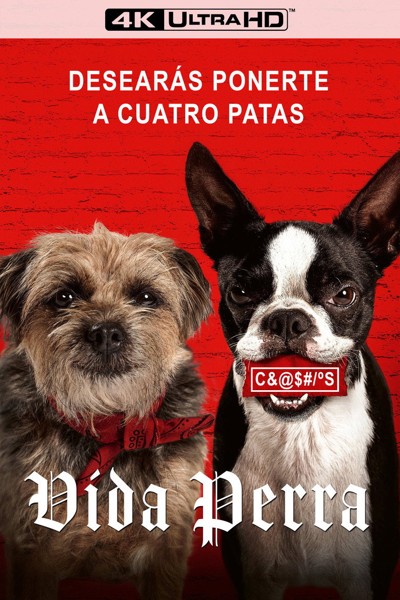 Póster la Película