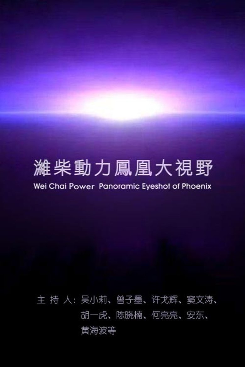 凤凰大视野 (2004)