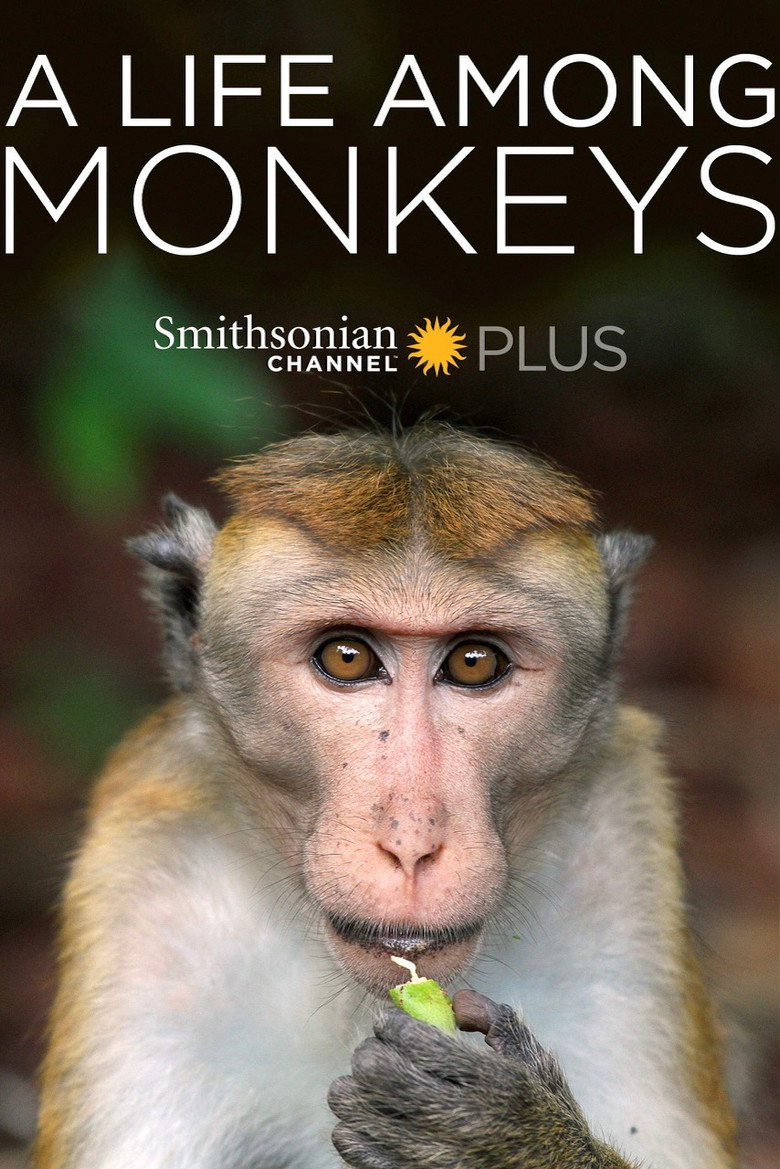 A Life Among Monkeys background