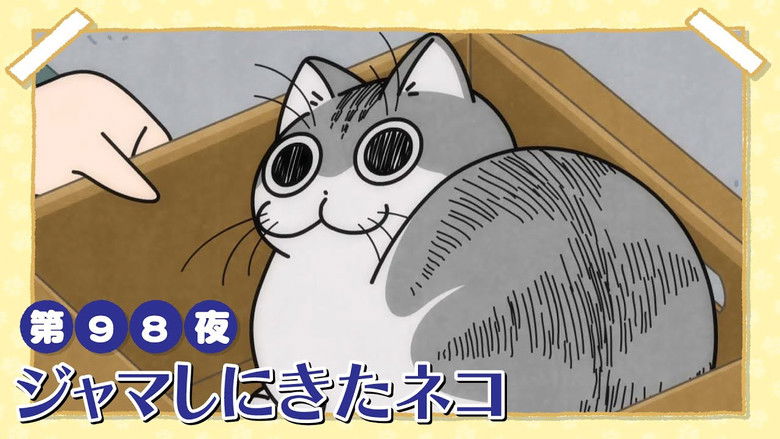 Still image for Nights with a Cat season 1 episode 98: Night 98: A Cat Comes to Bug Me